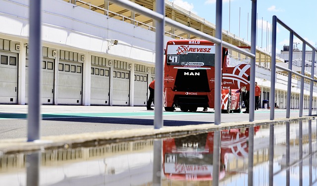 了一抹亮色 了一抹亮色