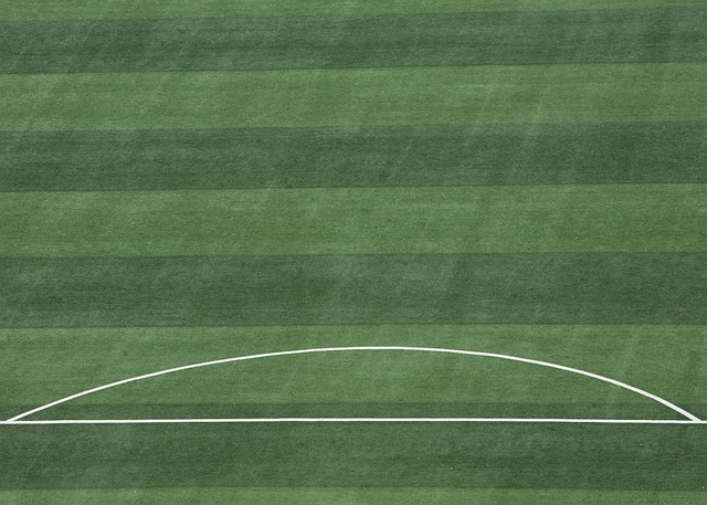 经典案例 经典案例