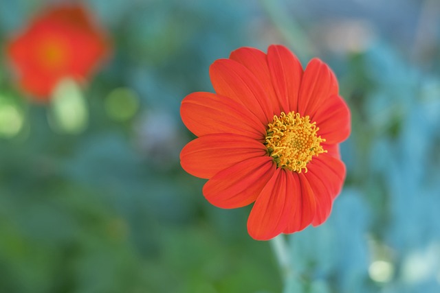 斯尔联强烈 斯尔联强烈