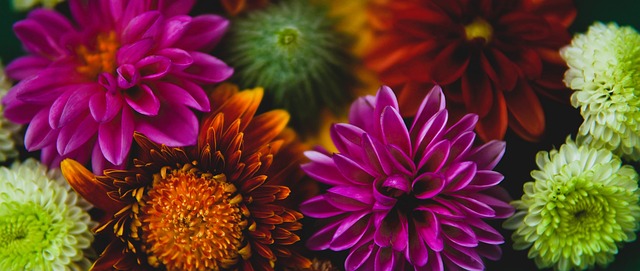 面对实力强 面对实力强